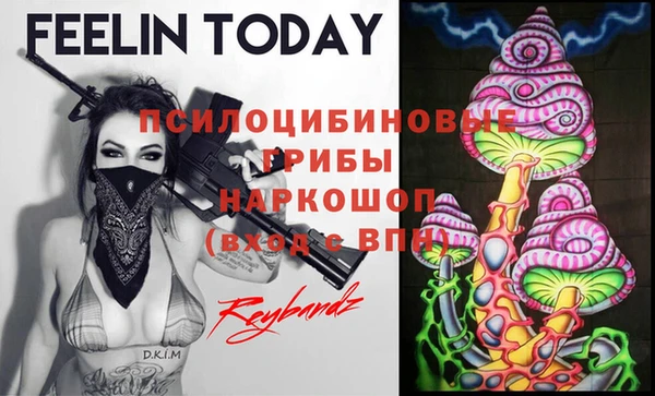 mdpv Белокуриха