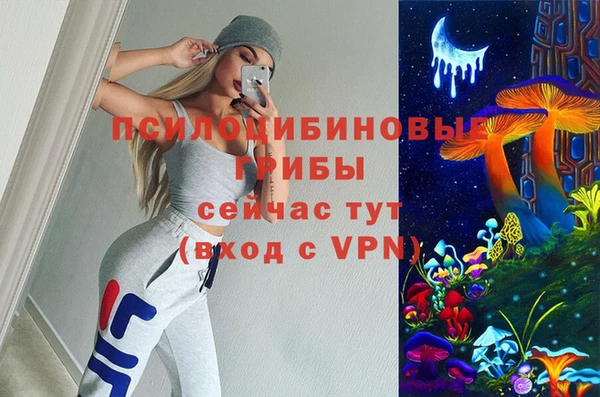 mdpv Белокуриха