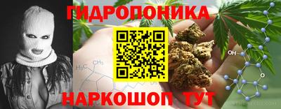 мдпв Жуковский