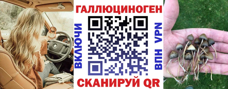 Псилоцибиновые грибы Psilocybe  Воркута 