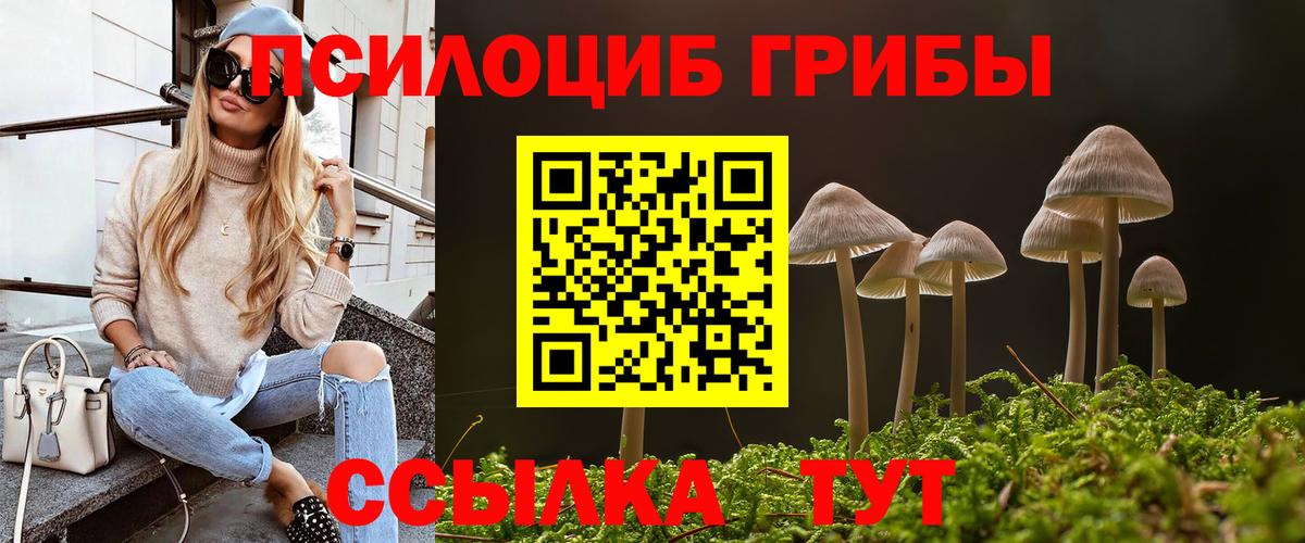 Псилоцибиновые грибы мицелий Воркута